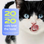 A black and white cat licks its nose next to a purple graphic for Native Pet Calming Supplement for Cats that reads: 20/20 cats love the taste* *Results from a third-party palatability study of 20 cats over 2 days.