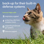 A cat licks its nose in the grass next to Native Pet Immune Supplement for Cats, which supports respiratory health, oxidative stress protection, and gut health.