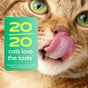 A green square graphic featuring the text 20/20 cats love the taste and a palatability study disclaimer, superimposed over a close-up of a cat licking its nose to promote Native Pet Immune Supplement for Cats.