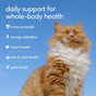 A fluffy ginger cat with eyes closed against a blue sky, appearing next to Whole Body Health Multivitamin for Cats, which supports immune, energy, heart, skin, coat, and joint health.
