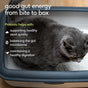 A cat sits in a litter box next to text explaining how Native Pet Probiotic Digestive Supplement for Cats supports stool quality, gut health, and digestion.