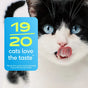 A black and white cat with blue eyes licks its nose next to a blue graphic stating 19/20 cats love the taste of Native Pet Probiotic Digestive Supplement for Cats, with a footnote explaining the study results.