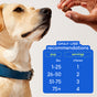 Someone gives a yellow dog in a blue collar Native Pet Skin and Coat Chews Supplement for Dogs. A chart shows daily chews by weight: 1-25 lbs (1), 26-50 lbs (2), 51-75 lbs (3), and 75+ lbs (4).