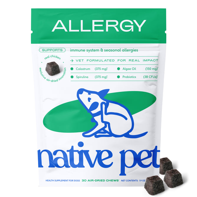 A white and green bag labeled “ALLERGY” from Native Pet features a blue outline of a scratching dog. Next to the bag, several Allergy Chews Supplement for Dogs are displayed, formulated to help relieve itchy skin and support immune health with key ingredients.