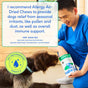 A veterinarian in blue scrubs feeds a Native Pet Allergy Chews Supplement for Dogs to a brown dog. The product bag labeled “Allergy” is visible. Text recommends Native Pet Allergy Chews for dogs to help with itchy skin, seasonal allergies, and immune system support. A Vet-Recommended Formula badge is shown.