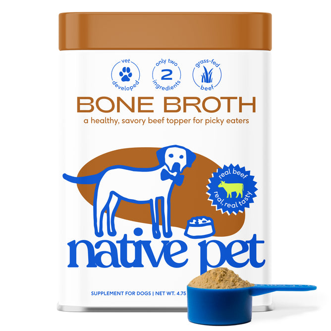 A container of Native Pet Beef Bone Broth Topper for Dogs featuring an illustrated dog, text describing the benefits of a beef topper, and a blue scoop filled with grass-fed beef bone broth powder in front—a nutritious food topper your pup will love.