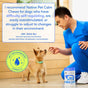 A veterinarian kneels and smiles at a small dog, holding a treat. Text about Native Pet Calm Chews Supplement for Dogs is shown, emphasizing their vet-recommended formula for supporting calmness in dogs. A “Vet-Recommended Formula” badge appears alongside the Native Pet product box, featuring tasty air-dried chicken chews in the corner.