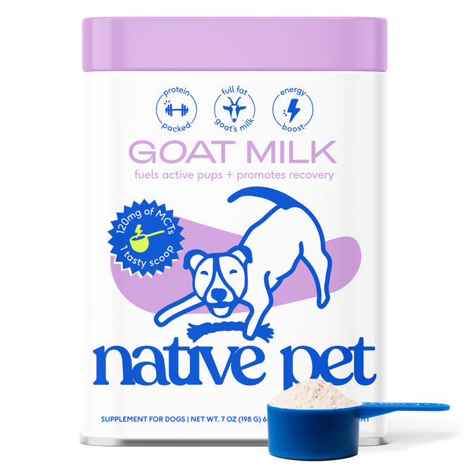 The Native Pet Goat Milk Topper & Supplement for Dogs comes in a rectangular container with a purple lid, featuring a dog illustration and a blue scoop of powder, and highlights benefits like added protein, goat’s milk nutrition, and energy boost—making it an ideal recovery supplement or protein-rich topper for your dog.