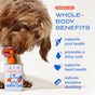 A dog licks a dispenser bottle of Native Pet Omega Oil Topper & Supplement for Dogs. Text highlights key benefits: supports joint and heart health, promotes a shiny coat, and helps reduce excessive shedding. Vibrant orange and blue graphics accompany each benefit, demonstrating why this skin and coat supplement is a standout choice for your pup’s wellbeing.
