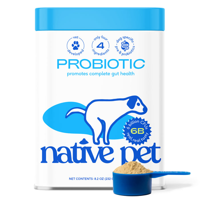 Native Pet Probiotic Digestive Supplement for Dogs comes in a white container featuring a blue dog graphic, detailed product information, and a scoop of tan powder displayed in front. Developed with veterinarians to support gut health and digestive wellness in dogs, the packaging highlights four key ingredients.