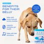 A yellow dog sniffs a container of Native Pet Probiotic Digestive Supplement for Dogs, featuring a blue and white design. The text highlights benefits such as promoting digestive wellness by easing stress-related tummy troubles, supporting gut health, assisting with diet transitions, and improving stool quality in just 7 days.