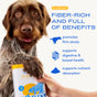 A dog holds a package of Native Pet’s Organic Pumpkin Powder Topper for Dogs. The text highlights its benefits: fiber-rich and packed with advantages—promotes firm stools, supports digestive and bowel health, and aids in nutrient absorption. Made with organic pumpkin powder, this high-fiber supplement is specially crafted to support your dog’s digestive health.