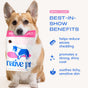 A Corgi sits holding a Native Pet Skin and Coat Chews Supplement for Dogs bag in its mouth. Text highlights the benefits: reduces shedding, promotes a shiny coat, and soothes itchy or sensitive skin—all thanks to these nutrient-rich chews. Icons and Best-In-Show Benefits are also featured.