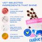 A product image features the Native Pet Skin and Coat Chews Supplement for Dogs, highlighting collagen, hyaluronic acid, biotin, and vitamin E as key ingredients for supporting dog skin and coat health. The visuals include text and ingredient imagery next to a bag of Native Pet chews. These air-dried supplements are thoughtfully crafted to promote a glossy coat and healthy skin in dogs.