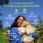 A smiling woman holds a fluffy dog outdoors, surrounded by icons and text detailing the benefits of Native Pet’s The Daily Multivitamin for Dogs—formulated by veterinarians to support cognition, mobility, gut health, skin, digestion, heart health, energy levels, immune system function, relief from allergies and inflammation, as well as bladder health—emphasizing its role in promoting comprehensive digestive and overall wellness for dogs.