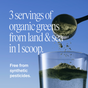 A spoonful of Easy Being Green: Daily Active Superfood Greens Powder by Ora Organic is held above a glass of the same powder. Text: 3 servings of organic land & sea greens per scoop, organic prebiotics, no synthetic pesticides. Blue background.