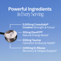 Muscle Memory: Supercharged Creatine Powder by Ora Organic features 5,000mg creatine monohydrate, 150mg ElevATP, 500mg taurine, and 1,000mg D-Ribose for muscle recovery and energy—Informed Sport certified; displayed on a blue background with a scoop of powder.