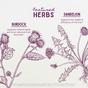 Party Prep by WishGarden Herbs: Illustrated burdock and dandelion with Featured Herbs text. Burdock supports natural waste removal; dandelion promotes liver detox and support. FDA disclaimer below.