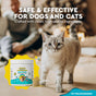 A gray cat stands on an indoor carpet, with a jar of Radius OralPro+ Pet Dental & Gut Powder for Dogs & Cats and a powder scoop displayed in the corner. Text highlights this product as safe and effective for both dogs and cats, made from high-quality ingredients. This versatile dental powder by Radius is specially formulated to support the oral health of cats and dogs, promoting a cleaner, fresher smile.
