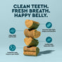 Four cylindrical OralPro+ Pet Dental & Gut Chew Sticks for Dogs by Radius stacked vertically, with text highlighting benefits: fresh breath, gut health, enzymatic plaque support, and calming effects. Bold headline reads: CLEAN TEETH. FRESH BREATH. HAPPY BELLY.