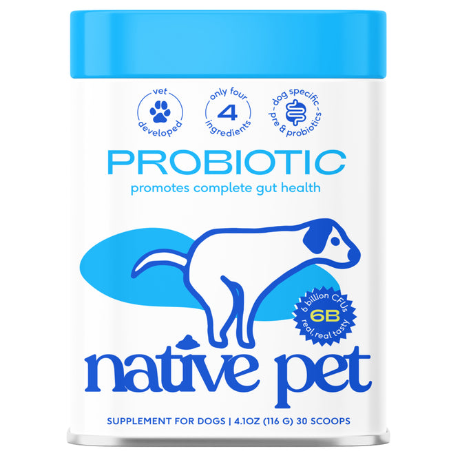 Front label of a white and blue Native Pet Probiotic Digestive Supplement for Dogs shows a simple dog illustration, highlights digestive wellness, 4 ingredients, 6 billion CFUs, and 30 scoops per container for gut health.