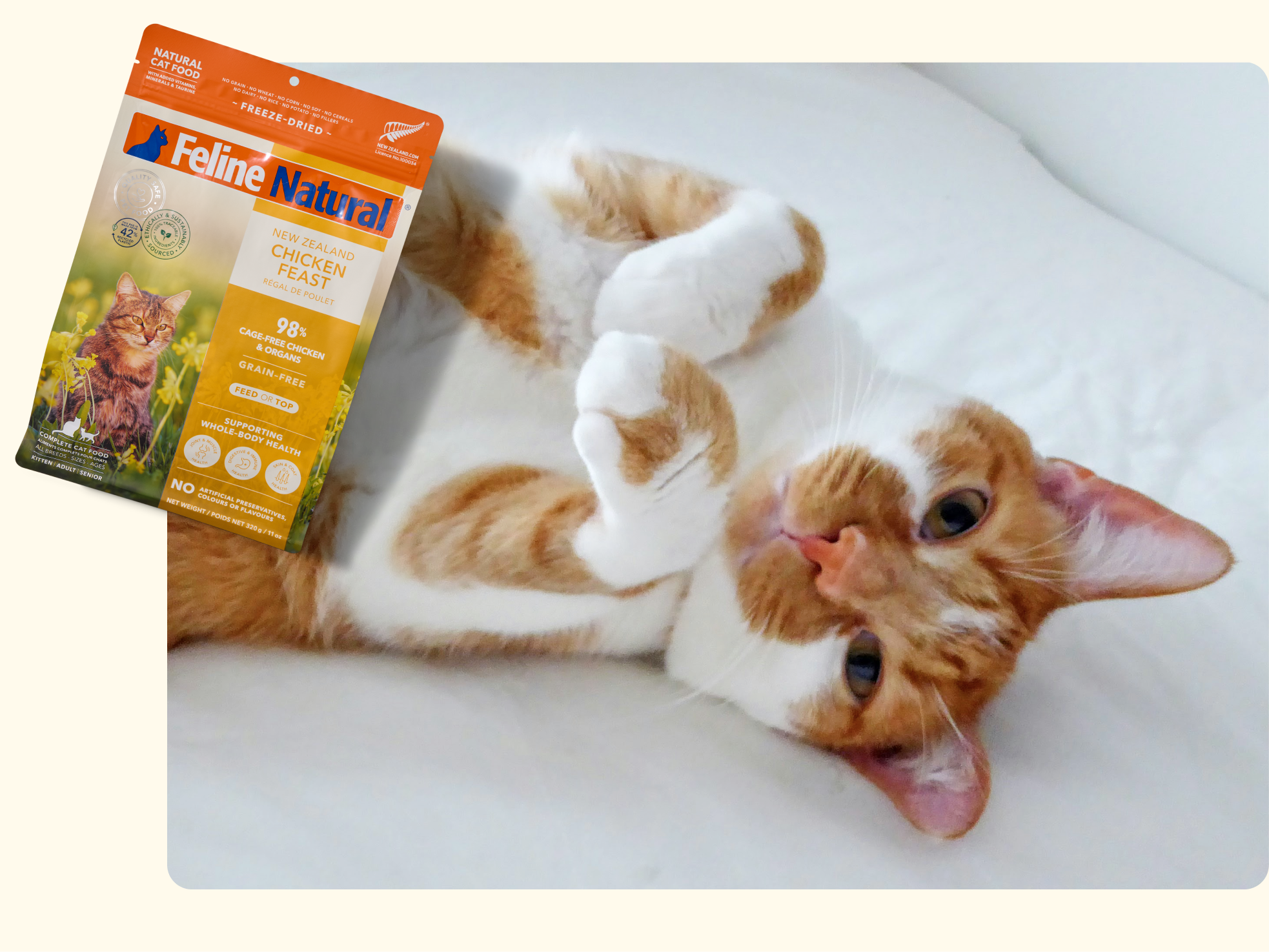 An orange and white cat lies on its back on a white surface next to a bag of Feline Natural Chicken Feast cat food. The cat looks at the camera with its paws up, appearing relaxed and playful.