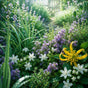 A lush garden path bordered by purple and white flowers and a large yellow bloom, with water droplets on the foliage, evoking the scent of an Enviroscent Stix Diffuser Air Freshener Starter Kit - Pet Odor Neutralizer.