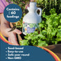 A hand holds Good Dirt Plant Food - Indoor & Outdoor and a box of leafy greens. Text highlights: Up to 60 feedings, safe all year, seed-based, easy-to-use, non-GMO—perfect for indoor or outdoor plants in living soil.