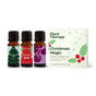 Three amber bottles of Plant Therapys Christmas Magic Essential Oil Blend 3-Set are displayed beside a festive white box—ideal for holiday essential oil blends and seasonal aromatherapy.