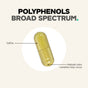 A yellow capsule labeled Polyphenols Broad Spectrum + by Codeage, displaying text that notes a length of 0.87 inches and mentions that natural color variation may occur. This plant-based supplement delivers broad spectrum polyphenols to support overall wellness.