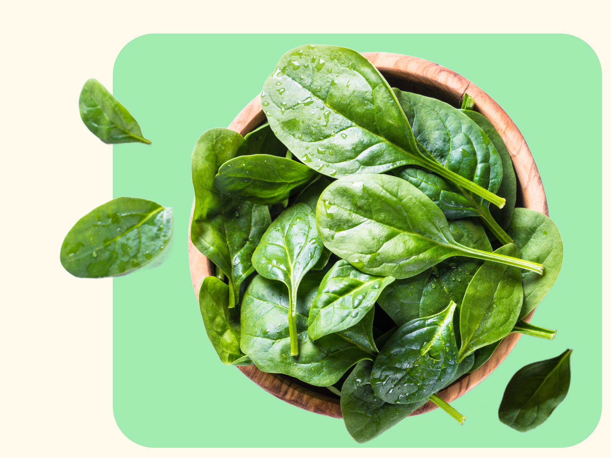 A wooden bowl filled with fresh spinach leaves, some with droplets of water, sits on a green and cream background with a few loose spinach leaves scattered around.