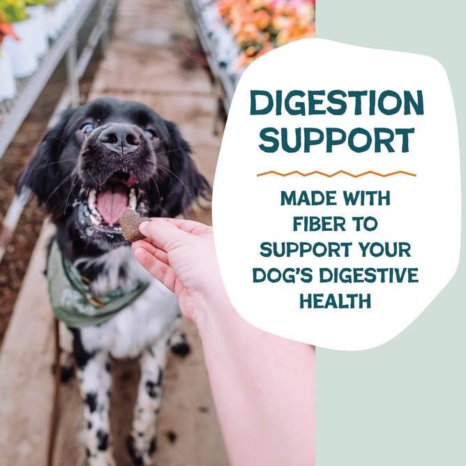 Shameless Pets Pumpkin Nut Par-Tay Soft-Baked Dog Treats oz