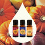 Three bottles of Plant Therapy’s Pumpkin Harvest Essential Oil Blend Set—featuring Apple Cider, Harvest Moon, and Pumpkin Spice—are displayed in front of a teardrop shape with pumpkins and gourds in the background. This inviting fall set includes cozy autumn essential oil blends perfect for creating a warm, seasonal atmosphere.