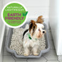 A small dog stands in a gray litter box filled with white pellets. A green badge reads: Puppy Go Potty Potty Natural Paper Fiber Dog Litter, Naturally Lightweight, Earth Friendly Alternative to Puppy Pads.