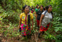 A group of women in vibrant clothing and boots make their way through lush, green jungle foliage, attentively exploring the forest—an inspiring example of Indigenous-led conservation as part of the Forest and Biodiversity Protection initiative by Grove Co., supporting the Embera Katio people in Colombia.