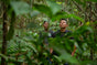 Two men stand in a dense, green forest, partially obscured by large leaves and foliage, looking upward as sunlight filters through the trees—a striking scene reflecting the Forest and Biodiversity Protection efforts led by Grove Co.