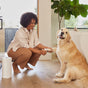 A woman kneels indoors, smiling as she wipes her golden retriever's paw on a wooden floor near a couch and plant. A roll of Reel Premium Bamboo Paper Towels (135 2-ply sheets) sits nearby.