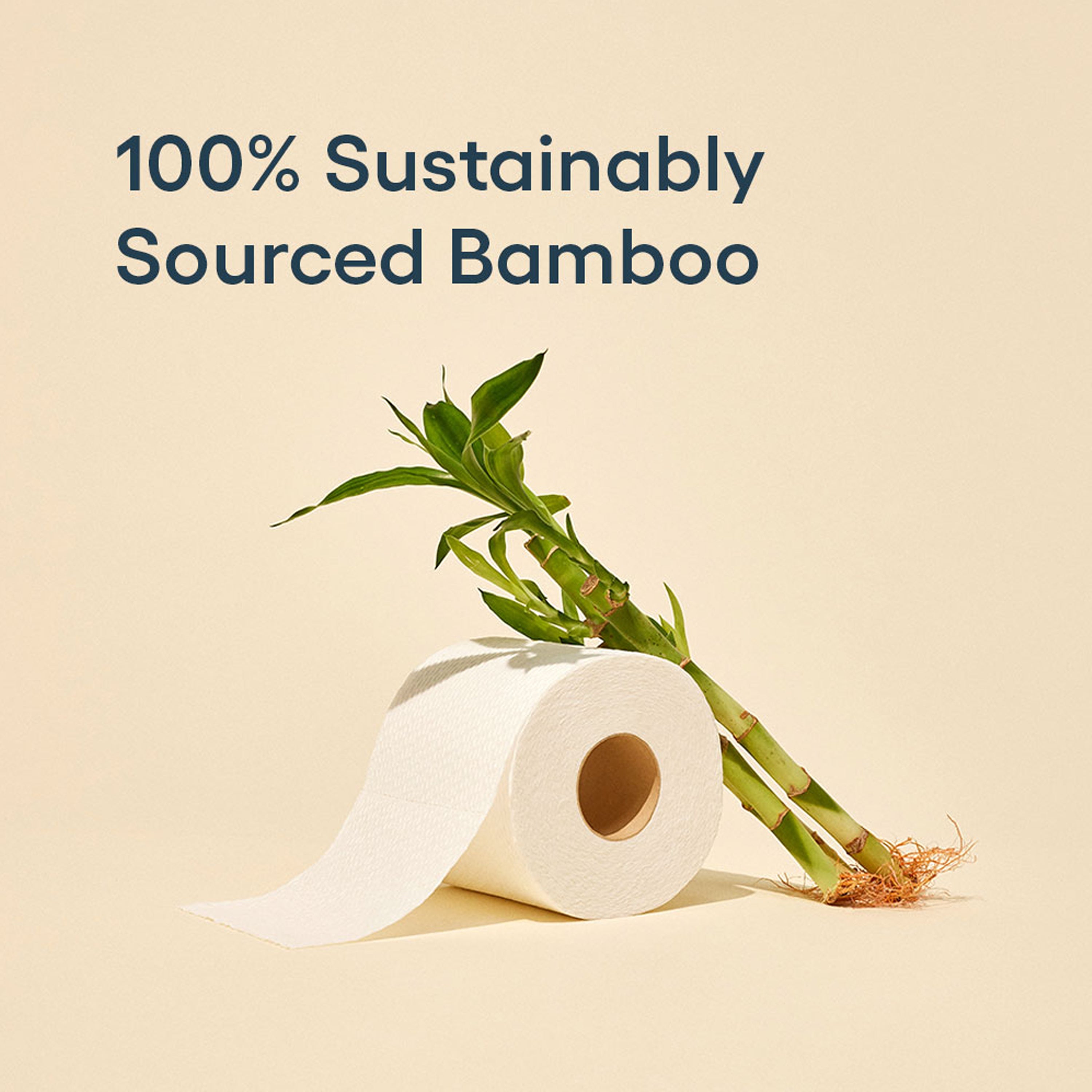 Reel Bamboo Toilet Paper - Thumbnail 3
