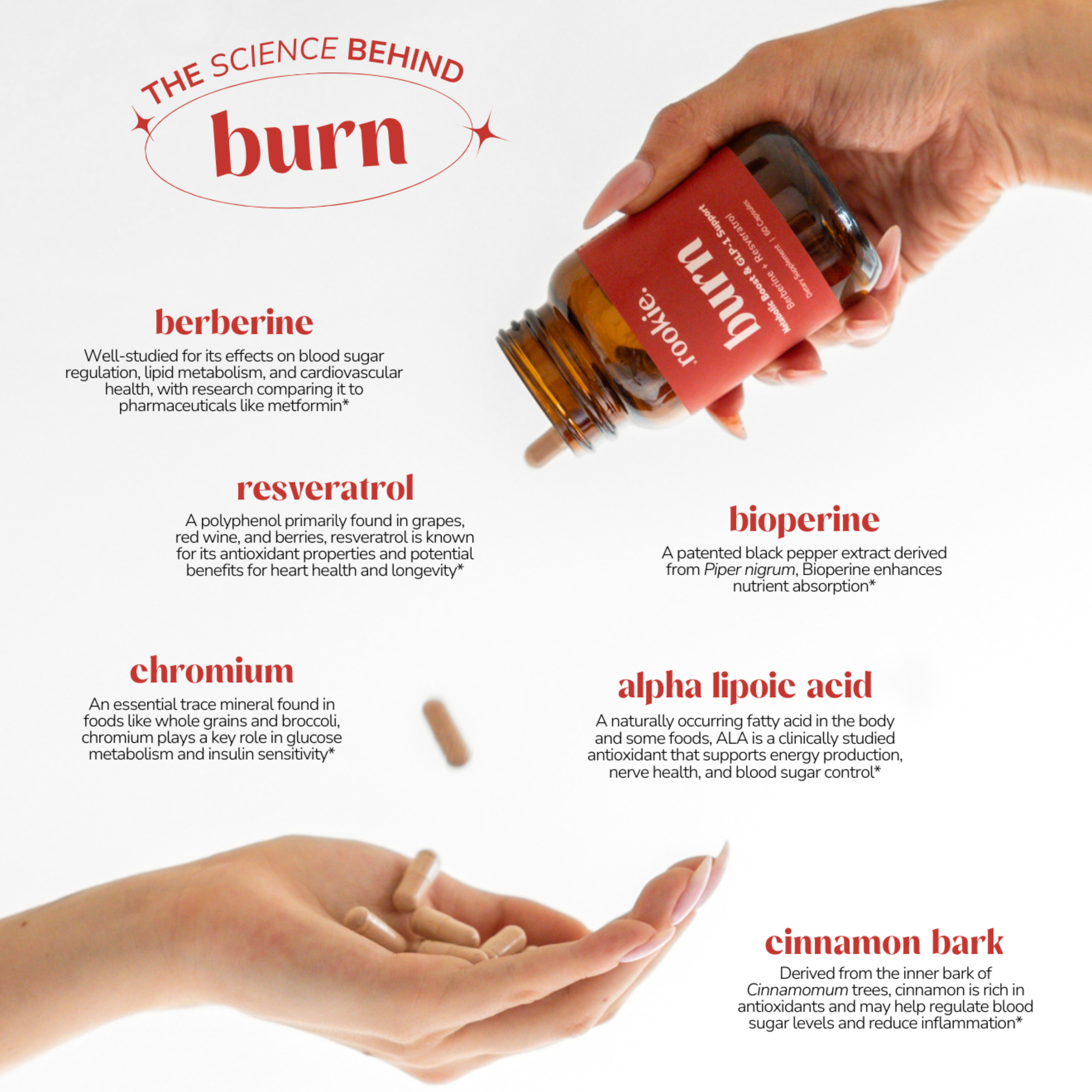 zip burn glp 1 Burn Capsules, Metabolic Boost & GLP-1 Support
