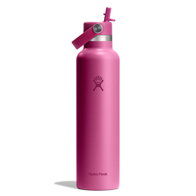 A pink 24 oz Hydro Flask Standard Mouth Bottle with Flex Straw Cap is positioned against a white backdrop, showcasing its TempShield double-wall insulation. It has a silver band by the leakproof cap and a small handle. The Hydro Flask logo is prominently visible on the front.