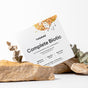 A box of Thorne Complete Biotic Powder Packets, 3-in-1 Formula, supporting digestive health, sits on beige rocks with dried leaves. The white box displays orange and green abstract art and black text emphasizing its benefits for gut health.
