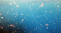 An underwater view reveals blue water with floating particles and debris, illustrating the plastic pollution issue addressed by Grove Co.'s Unplastic Your Life Educational Campaign to raise awareness about ocean health concerns.