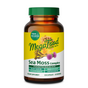 MegaFood Sea Moss Complex is a daily wellness supplement in a brown bottle with a yellow and green label, featuring key ingredients: Sea Moss, burdock, Black Seed Oil, bladderwrack, and Ashwagandha.