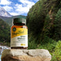 A bottle of MegaFood Shilajit sits on a rock amid mountains, pine trees, and a river—ideal for supporting healthy testosterone and energy levels under a partly cloudy sky.