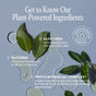 Three green leaves with droplets of clear liquid rest on a light blue background, accompanied by text spotlighting skin-loving ingredients: aloe vera, glycerin, and a triple botanical complex featuring jojoba, rosehip, and argan oils. Cliganic’s Fresh Balance Face Cleanser hydrates as it gently cleanses, delivering barrier-balancing care for refreshed, healthy-looking skin.