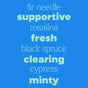 Light blue words on a blue background read: Sniffle Stopper Roll-On, supportive, rosalina, fresh, black spruce, respiratory support, clearing, cypress, KidSafe essential oil blend from Plant Therapy, minty. Some words are bolded for emphasis to highlight their connection to congestion relief.