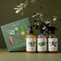 Koala Ecos Nature Studies Home Starter Set showcases Mandarin dish soap, Lemon Myrtle hand wash, and Eucalyptus kitchen cleaner in a gift box adorned with green leaves and botanical illustrations.