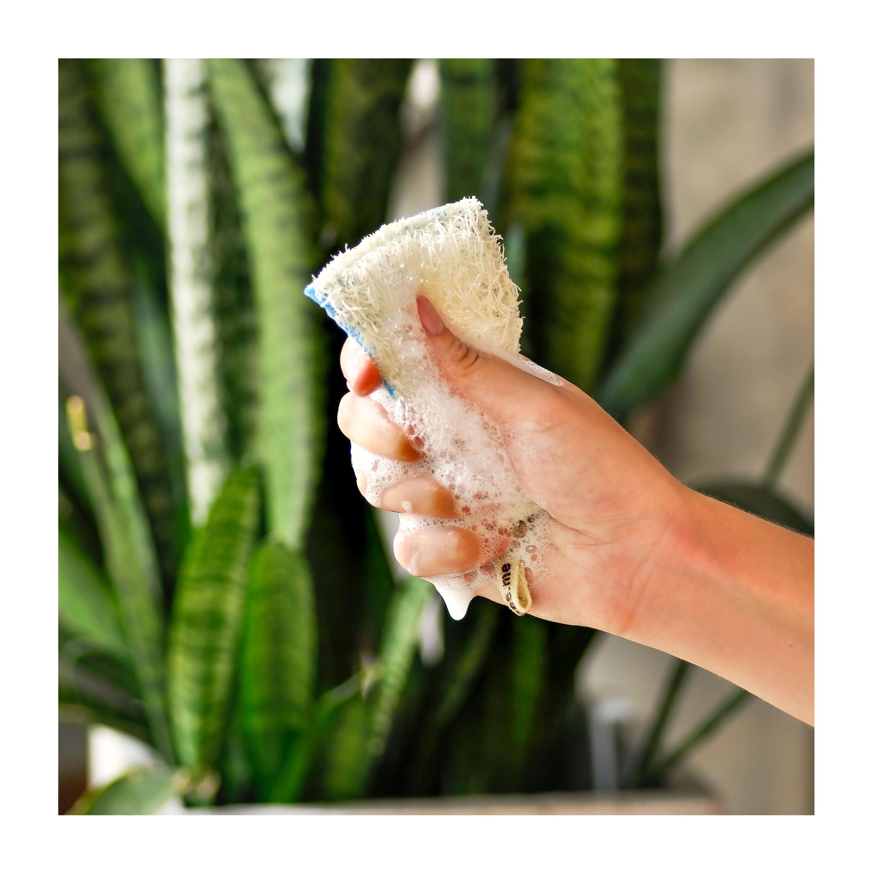 SuperBee Kitchen Loofah Dish Sponge - Thumbnail 5