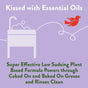 A graphic with a bubbly sink, a flying red bird, and text showcasing Rebel Green Ultra Clean Dish Soap—a powerful, low-sudsing, plant-based formula with essential oils and no synthetic fragrances for tough grease.