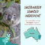 A koala munches eucalyptus leaves beside an EWG-verified endorsement for sustainably sourced eucalyptus, which aids koala habitats in Australia. A map with a heart illustrates Australia. Experience the comforting embrace of Babo Botanicals’ Shampoo, Bubble Bath & Wash in Eucalyptus Remedy.